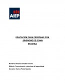 EDUCACIÓN PARA PERSONAS CON SÍNDROME DE DOWN EN CHILE