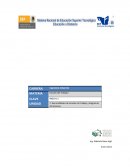 Diagrama de flujo de proceso para el producto de leche