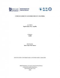 DERECHOS FUNDAMENTALES EN COLOMBIA. Página 1