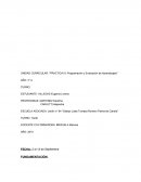 UNIDAD CURRICULAR: "PRACTICA III: Programación y Evaluación de Aprendizajes"