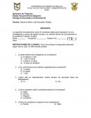 Entrega de Encuestas y Entrevistas-S2