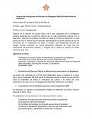 Informe de Participación 4a Reunión de Delegados RedColSI Nodo Norte de Santander