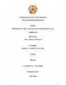 IMPORTANCIA DE LAS NUEVAS TECNOLOGÍAS EN LAS EMPRESAS