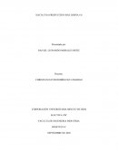 HACIA UNA PRODUCCION MAS LIMPIA 4.0