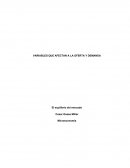 VARIABLES QUE AFECTAN A LA OFERTA Y DEMANDA