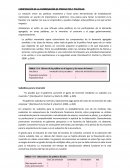 COMPOSICIÓN DE LA COMBINACIÓN DE PRODUCTOS Y POLÍTICAS