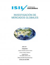 INVESTIGACIÓN DE MERCADOS GLOBALES. Página 1