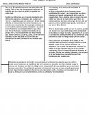 Four Square Organizer