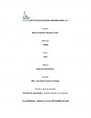 Actividad de aprendizaje 2. Software aplicado a los negocios