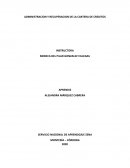 Administracion y recuperacion de la cartera de creditos