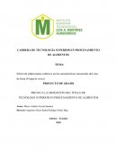 Efecto de edulcorantes calóricos en las características sensoriales del vino de fresa (Fragaria vesca)