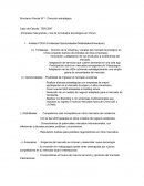 Dirección Estratégica Caso Tercent Matriz BCG