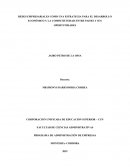 REDES EMPRESARIALES COMO UNA ESTRATEGIA PARA EL DESARROLLO ECONÓMICO Y LA COMPETITIVIDAD ENTRE PAISES Y SUS OPORTUNIDADES