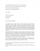 Motor de recomendación diseñado en Python