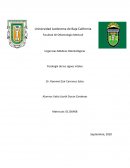 Fisiología de los signos vitales