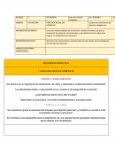 Actividades planeacion trimestral español matematicas y ciencias