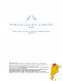 Cultivos de nuestro pais