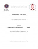 Analysis "amor sin escalas"