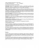 Características del sistema del control interno