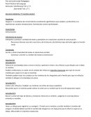 Plan de Continuidad Pedagógica Área Prácticas del Lenguaje