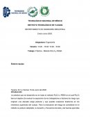 Práctica - Método RULA y REBA