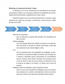 Marketing y su importancia primeras 3 clases