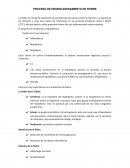 PROCESO DE DESENCADENAMIENTO DE FIEBRE