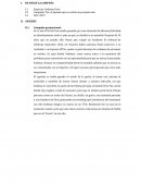 ANALISIS campaña promocional Sodimac Perú