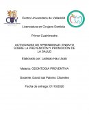 Actividades de aprendisaje: Ensayo sobre la prevención y promoción de la salud