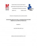 ESTRATEGIAS DIDÁCTICAS PARA LA CONCIENTIZACIÓN DEL MEDIO AMBIENTE EN LOS NIÑOS DE PREESCOLAR