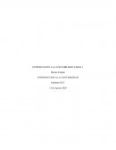 INTRODUCCION A LA CONTABILIDAD TAREA 1