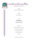 LEAN CANVAS Naturdesinfect