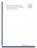 Practica de frutas y hortalizas