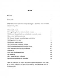 LA PRUEBA DIGITAL O ELECTRÓNICA: CASO INSTAGRAM. Página 10