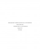 ORGANIZACIÓN Y NORMAS QUE REGULAN LA CONTABILIDAD