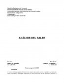 ANÁLISIS DEL SALTE