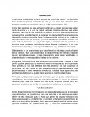 Quema de caña México