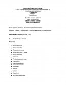 PROGRAMA DE MERCADEO E COMMERCE