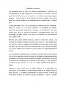 Estrategia e innovación