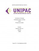 Analisis de El principe de las mareas