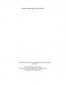 Cinismo organizacional, ¿causa o efecto?