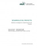 Investigacion y impementación de proyecto