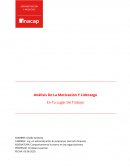 Análisis De La Motivación Y Liderazgo En Tu Lugar De Trabajo