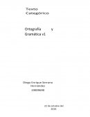 Ortografía y gramática