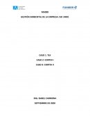 GESTIÓN AMBIENTAL DE LA EMPRESA: ISO 14001