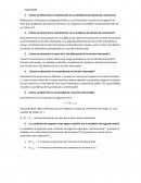 ¿Como se determina la maximización en un problema del cálculo de variaciones?