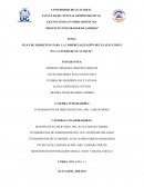 PLAN DE MARKETING PARA LA COMERCIALIZACIÓN DEL PLAYSTATION 5 EN LA CIUDAD DE GUAYAQUIL