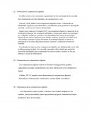 Definición de competencias digitales