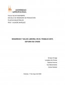 SEGURIDAD Y SALUD LABORAL EN EL TRABAJO (SST)