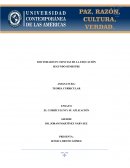 EL CURRÍCULUM Y SU APLICACIÓN